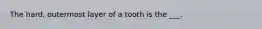 The hard, outermost layer of a tooth is the ___.