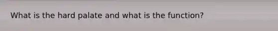 What is the hard palate and what is the function?
