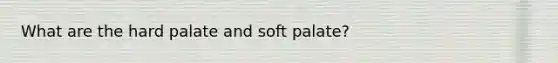 What are the hard palate and soft palate?