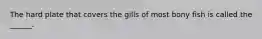 The hard plate that covers the gills of most bony fish is called the ______.