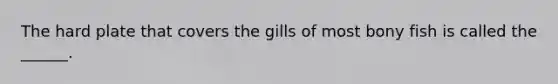 The hard plate that covers the gills of most bony fish is called the ______.