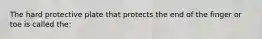 The hard protective plate that protects the end of the finger or toe is called the: