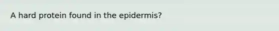 A hard protein found in the epidermis?