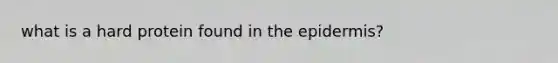 what is a hard protein found in the epidermis?