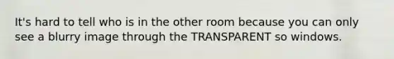 It's hard to tell who is in the other room because you can only see a blurry image through the TRANSPARENT so windows.