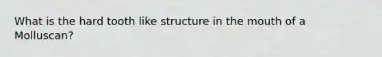 What is the hard tooth like structure in the mouth of a Molluscan?
