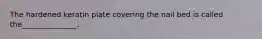 The hardened keratin plate covering the nail bed is called the_______________.