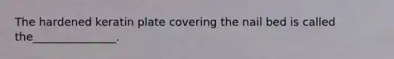 The hardened keratin plate covering the nail bed is called the_______________.