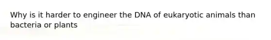 Why is it harder to engineer the DNA of eukaryotic animals than bacteria or plants