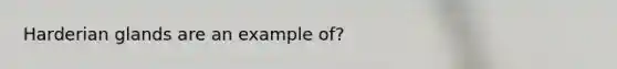 Harderian glands are an example of?