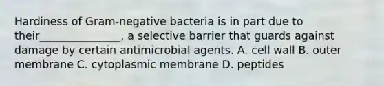 Hardiness of Gram-negative bacteria is in part due to their_______________, a selective barrier that guards against damage by certain antimicrobial agents. A. cell wall B. outer membrane C. cytoplasmic membrane D. peptides