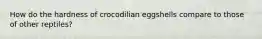 How do the hardness of crocodilian eggshells compare to those of other reptiles?