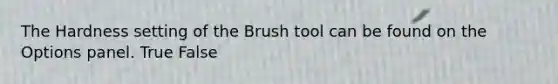 The Hardness setting of the Brush tool can be found on the Options panel. True False