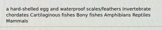 a hard-shelled egg and waterproof scales/feathers Invertebrate chordates Cartilaginous fishes Bony fishes Amphibians Reptiles Mammals