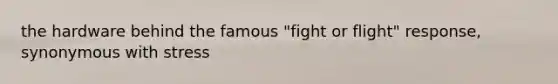 the hardware behind the famous "fight or flight" response, synonymous with stress