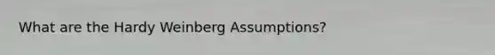 What are the Hardy Weinberg Assumptions?