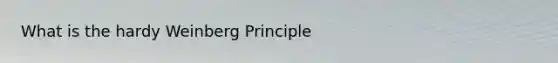 What is the hardy Weinberg Principle