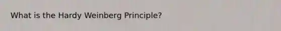 What is the Hardy Weinberg Principle?