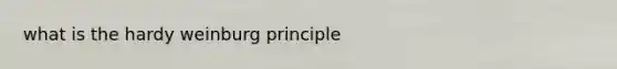 what is the hardy weinburg principle