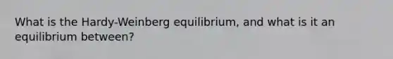 What is the Hardy-Weinberg equilibrium, and what is it an equilibrium between?