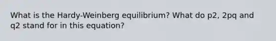 What is the Hardy-Weinberg equilibrium? What do p2, 2pq and q2 stand for in this equation?