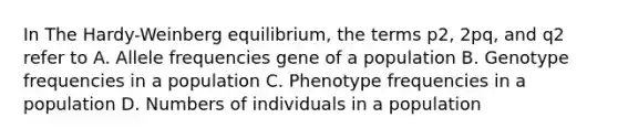 In The Hardy-Weinberg equilibrium, the terms p2, 2pq, and q2 refer to A. Allele frequencies gene of a population B. Genotype frequencies in a population C. Phenotype frequencies in a population D. Numbers of individuals in a population