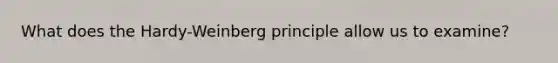 What does the Hardy-Weinberg principle allow us to examine?