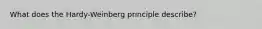 What does the Hardy-Weinberg principle describe?