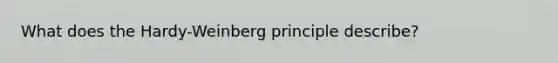 What does the Hardy-Weinberg principle describe?