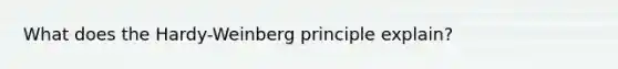 What does the Hardy-Weinberg principle explain?