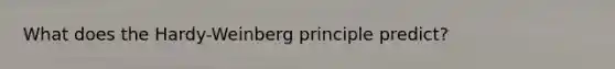 What does the Hardy-Weinberg principle predict?