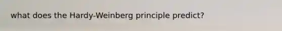 what does the Hardy-Weinberg principle predict?