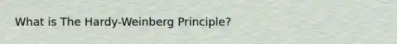 What is The Hardy-Weinberg Principle?