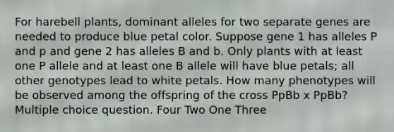 For harebell plants, dominant alleles for two separate genes are needed to produce blue petal color. Suppose gene 1 has alleles P and p and gene 2 has alleles B and b. Only plants with at least one P allele and at least one B allele will have blue petals; all other genotypes lead to white petals. How many phenotypes will be observed among the offspring of the cross PpBb x PpBb? Multiple choice question. Four Two One Three