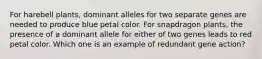 For harebell plants, dominant alleles for two separate genes are needed to produce blue petal color. For snapdragon plants, the presence of a dominant allele for either of two genes leads to red petal color. Which one is an example of redundant gene action?