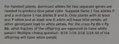 For harebell plants, dominant alleles for two separate genes are needed to produce blue petal color. Suppose Gene 1 has alleles P and p and Gene 2 has alleles B and b. Only plants with at least one P allele and at least one B allele will have blue petals; all other genotypes lead to white petals. For the cross Pp Bb x Pp Bb, what fraction of the offspring are expected to have white petals? Multiple choice question. 9/16 7/16 3/16 1/16 All of the offspring will have white petals