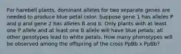 For harebell plants, dominant alleles for two separate genes are needed to produce blue petal color. Suppose gene 1 has alleles P and p and gene 2 has alleles B and b. Only plants with at least one P allele and at least one B allele will have blue petals; all other genotypes lead to white petals. How many phenotypes will be observed among the offspring of the cross PpBb x PpBb?