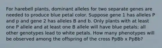 For harebell plants, dominant alleles for two separate genes are needed to produce blue petal color. Suppose gene 1 has alleles P and p and gene 2 has alleles B and b. Only plants with at least one P allele and at least one B allele will have blue petals; all other genotypes lead to white petals. How many phenotypes will be observed among the offspring of the cross PpBb x PpBb?