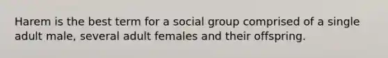 Harem is the best term for a social group comprised of a single adult male, several adult females and their offspring.