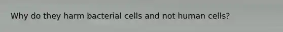 Why do they harm bacterial cells and not human cells?