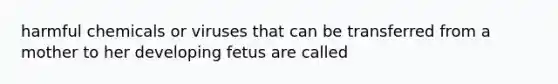 harmful chemicals or viruses that can be transferred from a mother to her developing fetus are called