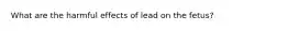 What are the harmful effects of lead on the fetus?