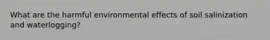 What are the harmful environmental effects of soil salinization and waterlogging?