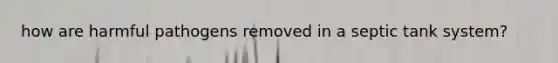 how are harmful pathogens removed in a septic tank system?