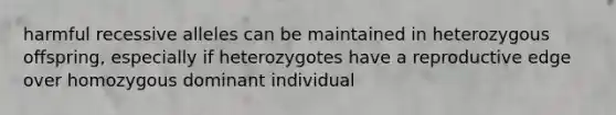 harmful recessive alleles can be maintained in heterozygous offspring, especially if heterozygotes have a reproductive edge over homozygous dominant individual