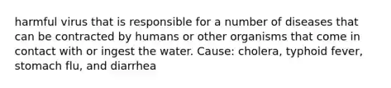 harmful virus that is responsible for a number of diseases that can be contracted by humans or other organisms that come in contact with or ingest the water. Cause: cholera, typhoid fever, stomach flu, and diarrhea