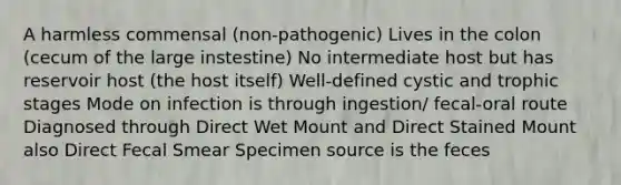 A harmless commensal (non-pathogenic) Lives in the colon (cecum of the large instestine) No intermediate host but has reservoir host (the host itself) Well-defined cystic and trophic stages Mode on infection is through ingestion/ fecal-oral route Diagnosed through Direct Wet Mount and Direct Stained Mount also Direct Fecal Smear Specimen source is the feces