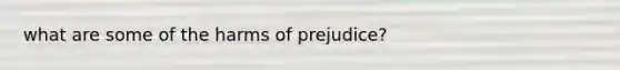 what are some of the harms of prejudice?