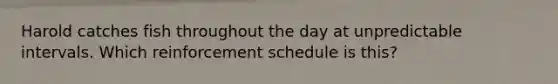 Harold catches fish throughout the day at unpredictable intervals. Which reinforcement schedule is this?