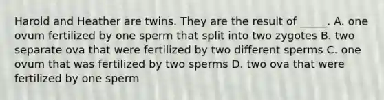 Harold and Heather are twins. They are the result of _____. A. one ovum fertilized by one sperm that split into two zygotes B. two separate ova that were fertilized by two different sperms C. one ovum that was fertilized by two sperms D. two ova that were fertilized by one sperm